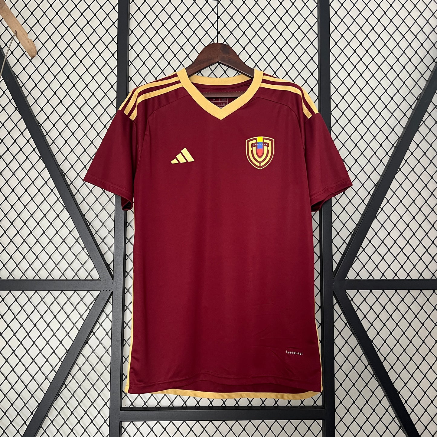 2024 Venezuela Home