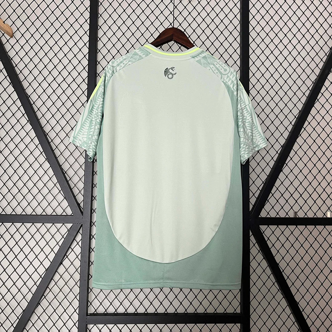 24/25 Mexico Away