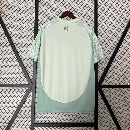 24/25 Mexico Away